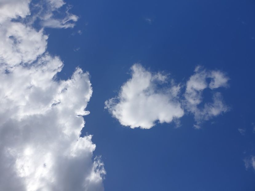  - - O - Fotografii x