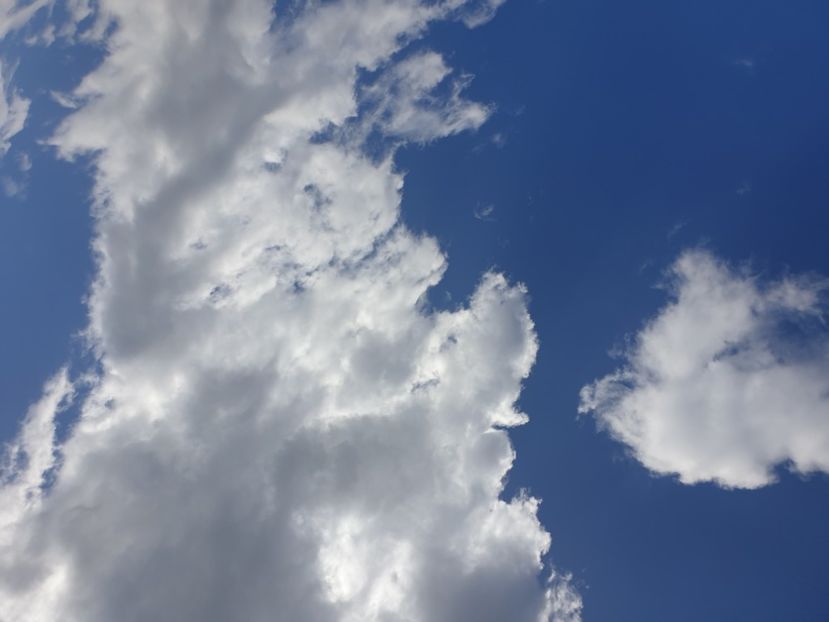  - - O - Fotografii x