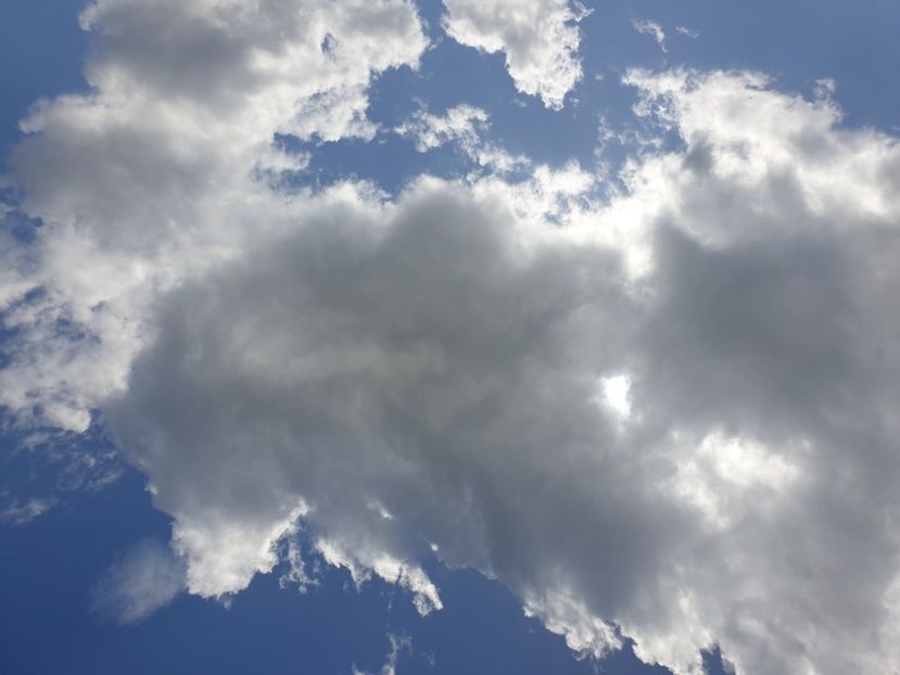  - - O - Fotografii x