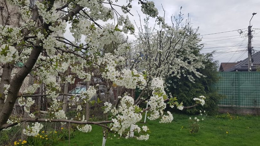 In sfarsit... - Mai 2021