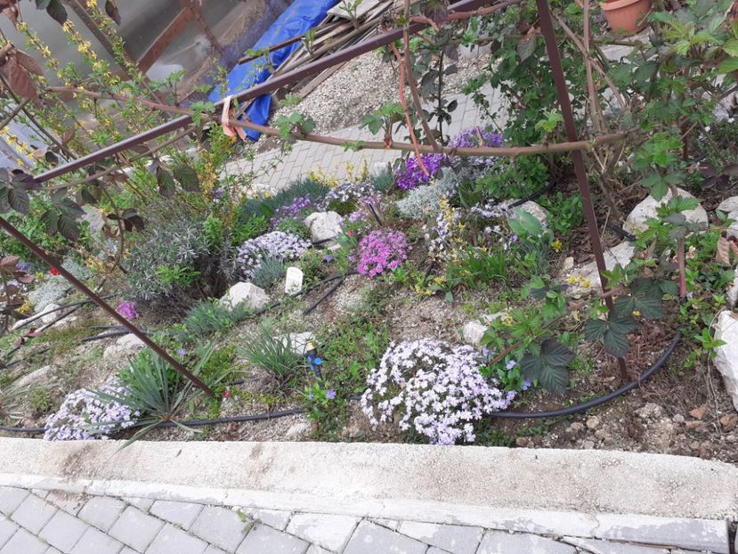  - Gradina 2021