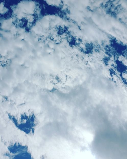  - Fotografii