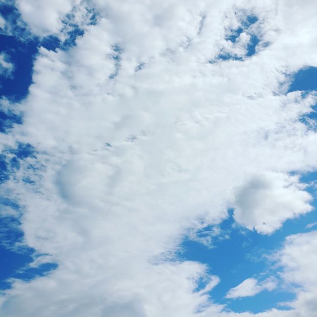  - Fotografii
