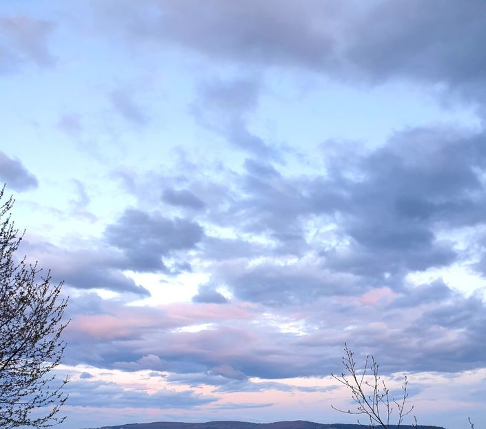  - Fotografii
