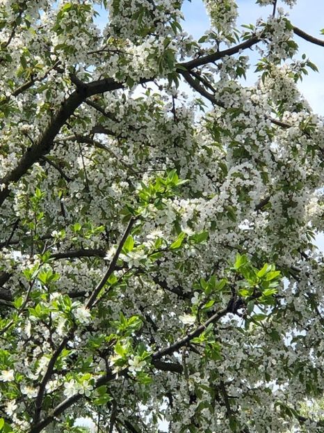 WhatsApp Image 2021-05-02 at 21.55.27 (2) - 02 05 2021 PASTE