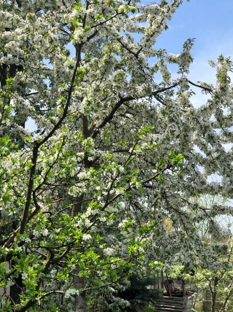 WhatsApp Image 2021-05-02 at 21.55.27 (3) - 02 05 2021 PASTE