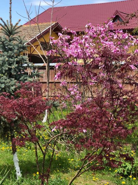 WhatsApp Image 2021-05-02 at 21.55.27 (4) - 02 05 2021 PASTE