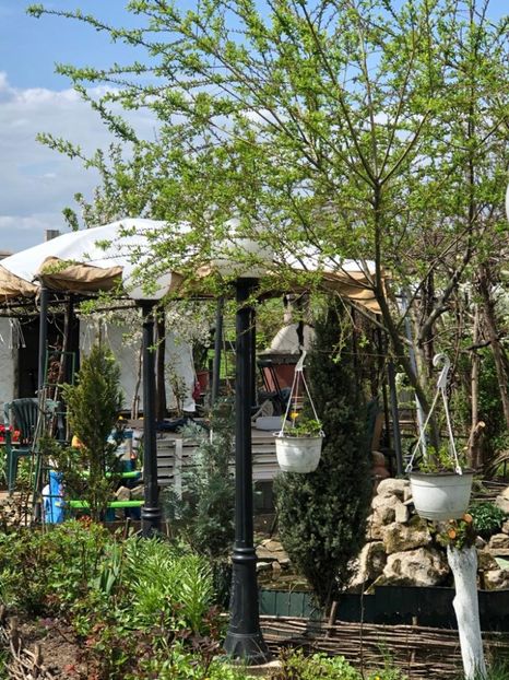 WhatsApp Image 2021-05-02 at 21.55.27 (7) - 02 05 2021 PASTE