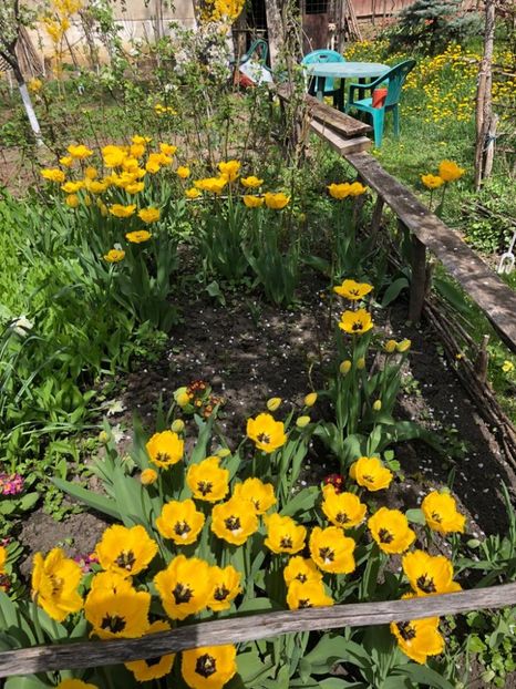 WhatsApp Image 2021-05-02 at 21.55.27 (19) - 02 05 2021 PASTE