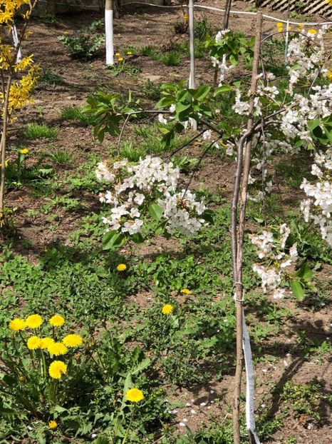 WhatsApp Image 2021-05-02 at 21.55.27 (26) - 02 05 2021 PASTE