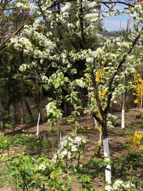 WhatsApp Image 2021-05-02 at 21.56.16 (1) - 02 05 2021 PASTE