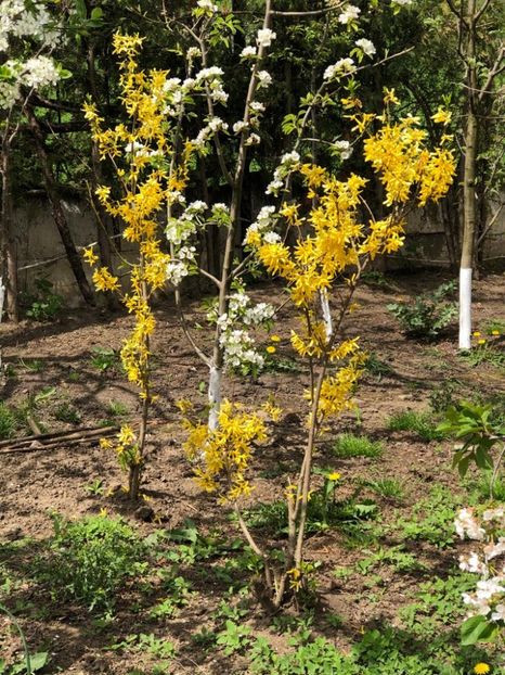 WhatsApp Image 2021-05-02 at 21.56.16 (3) - 02 05 2021 PASTE