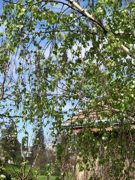 WhatsApp Image 2021-05-02 at 21.56.16 (4) - 02 05 2021 PASTE