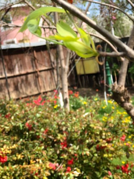 WhatsApp Image 2021-05-02 at 21.56.16 (5) - 02 05 2021 PASTE