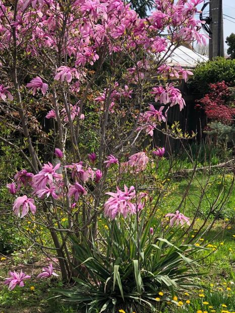 WhatsApp Image 2021-05-02 at 21.56.16 (8) - 02 05 2021 PASTE