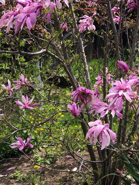 WhatsApp Image 2021-05-02 at 21.56.16 (9) - 02 05 2021 PASTE