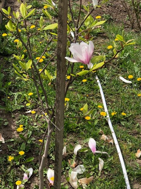 WhatsApp Image 2021-05-02 at 21.56.16 (11) - 02 05 2021 PASTE