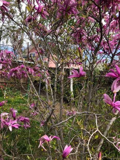 WhatsApp Image 2021-05-02 at 21.56.16 (13) - 02 05 2021 PASTE