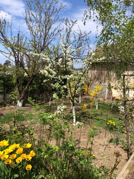 WhatsApp Image 2021-05-02 at 21.56.16 - 02 05 2021 PASTE