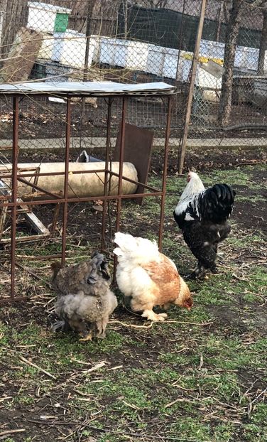 E49FC506-0535-475B-9813-19D3B2260BFC - H inchis