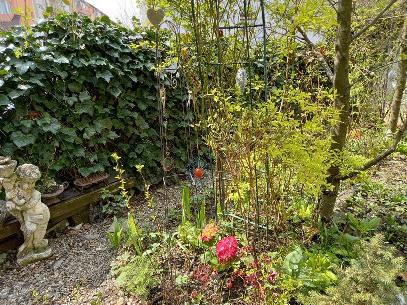  - Grădina 2021 continuare 1