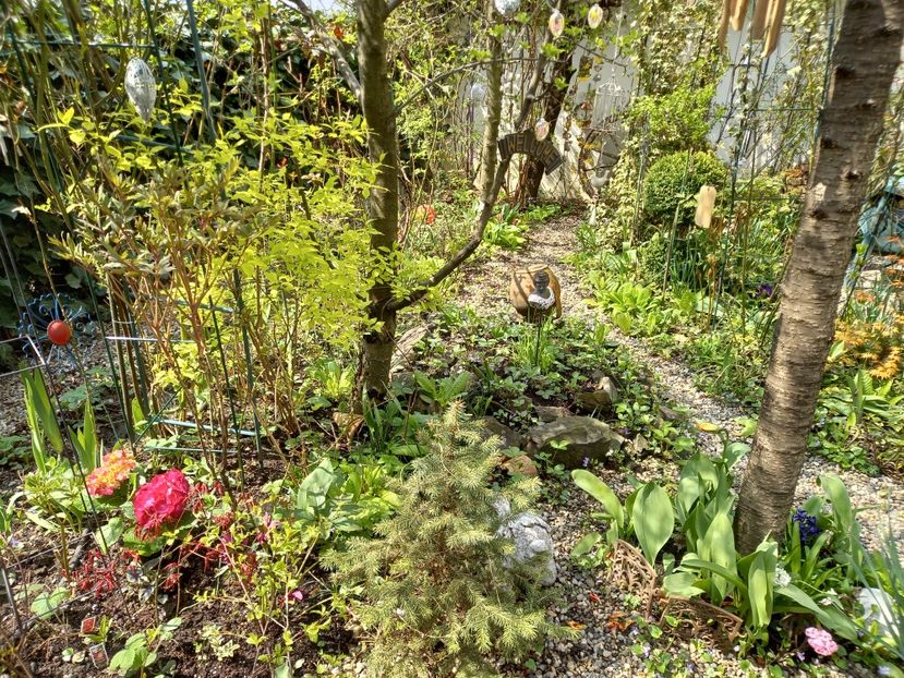  - Grădina 2021 continuare 1