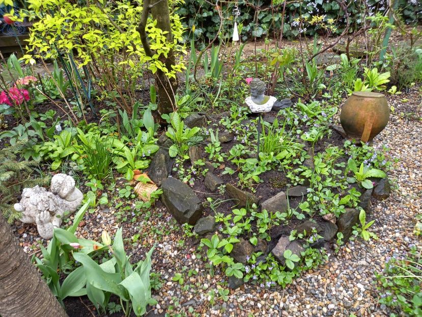  - Grădina 2021 continuare 1