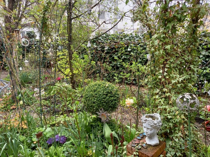  - Grădina 2021 continuare 1