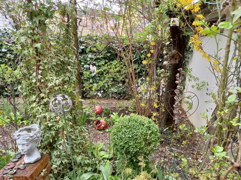  - Grădina 2021 continuare 1