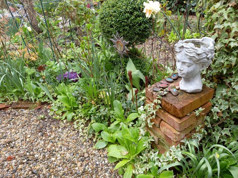  - Grădina 2021 continuare 1