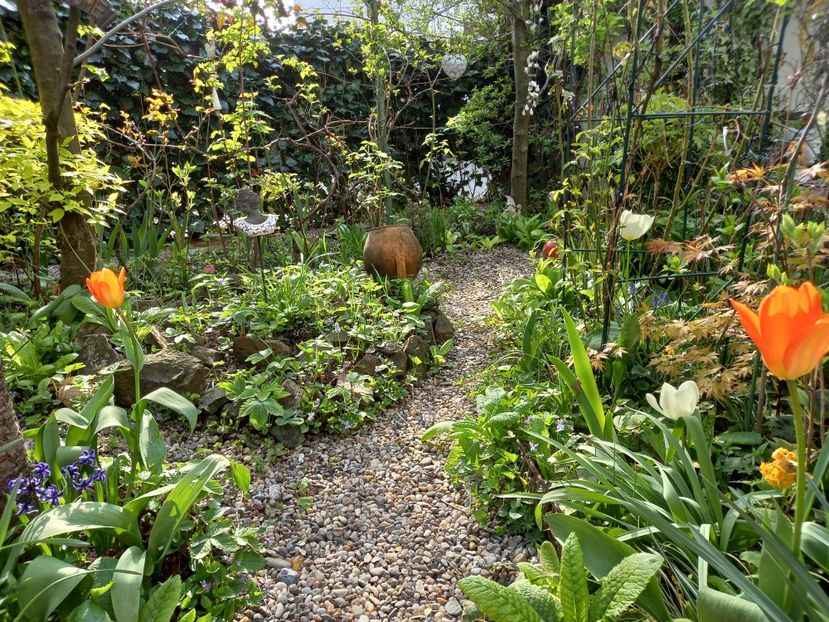  - Grădina 2021 continuare 1