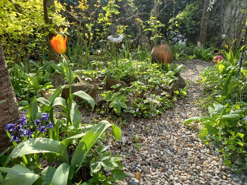  - Grădina 2021 continuare 1