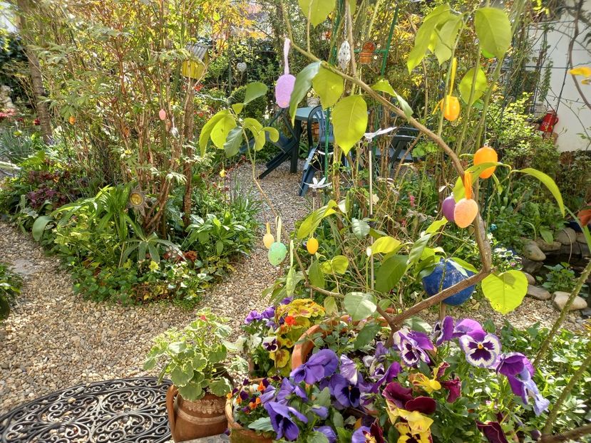  - Grădina 2021 continuare 1