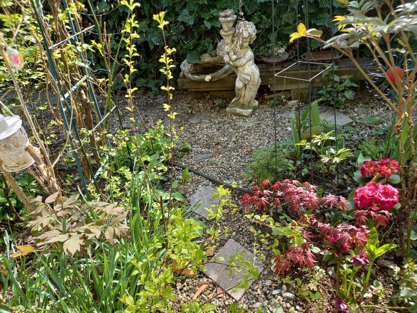  - Grădina 2021 continuare 1