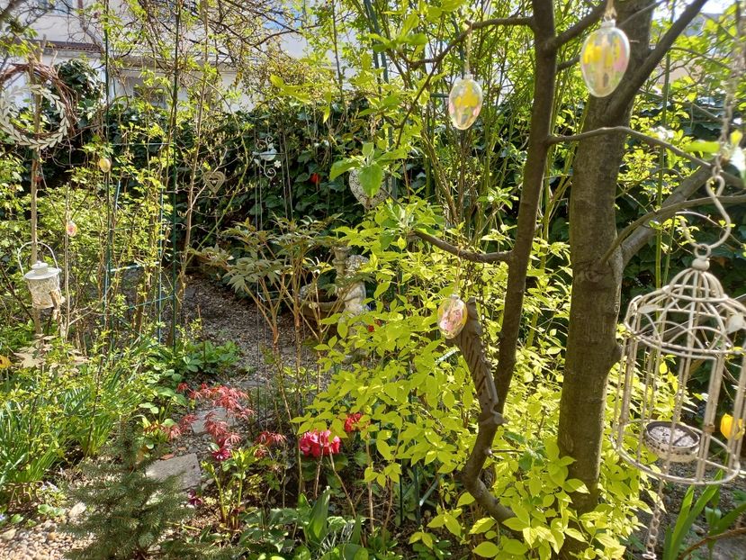  - Grădina 2021 continuare 1