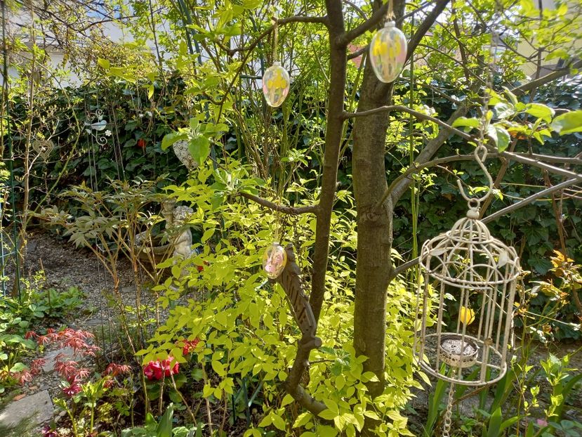  - Grădina 2021 continuare 1