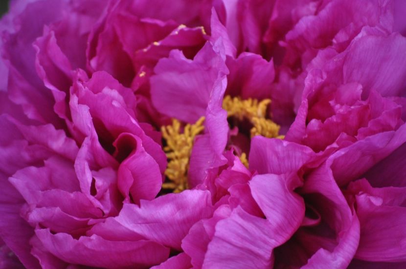 _DSC0885 - PRIMAVARA 2021_1