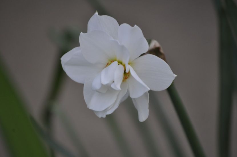 _DSC0969 - PRIMAVARA 2021_1