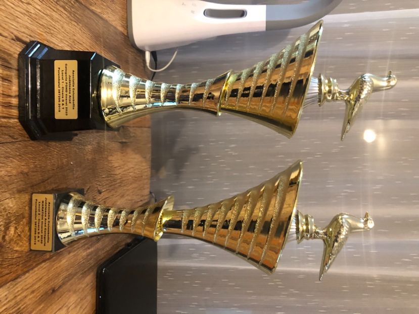 6409B368-6779-4EA4-B3E3-74D3C8463FFF - TROFEE