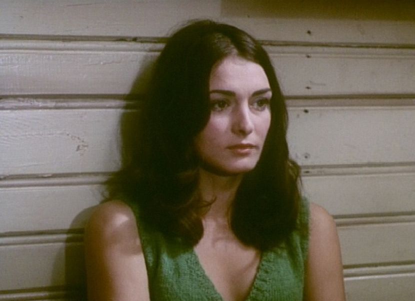 Muntele Ascuns - Muntele Ascuns 1974