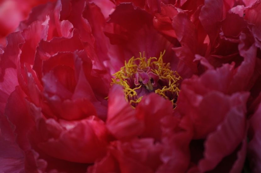 _DSC0003 - PRIMAVARA 2021_1