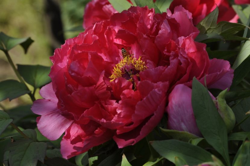 _DSC0004 - PRIMAVARA 2021_1