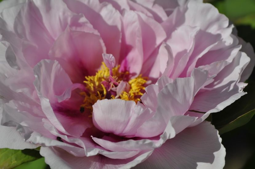 _DSC0080 - PRIMAVARA 2021_1