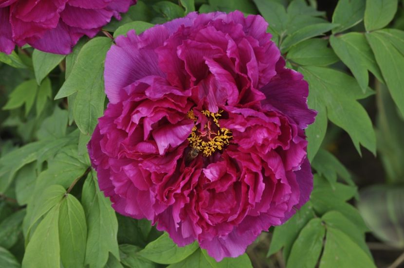 _DSC0084 - PRIMAVARA 2021_1