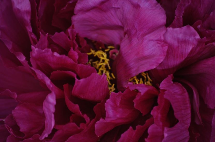 _DSC0086 - PRIMAVARA 2021_1