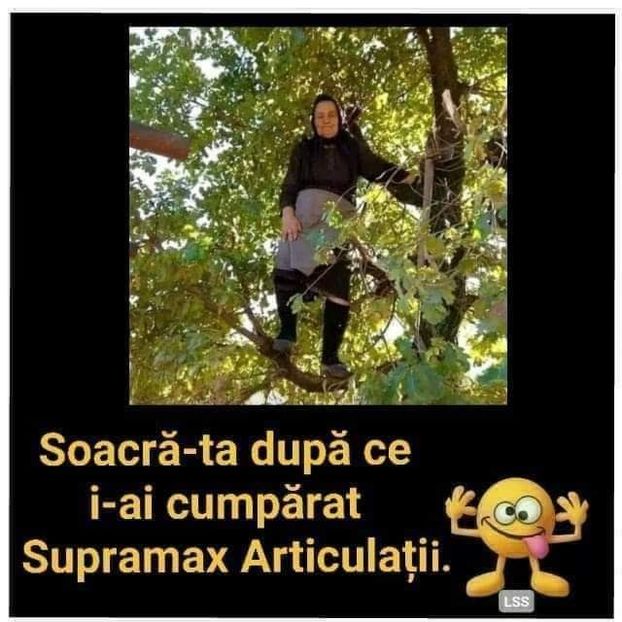 - Divertisment 3