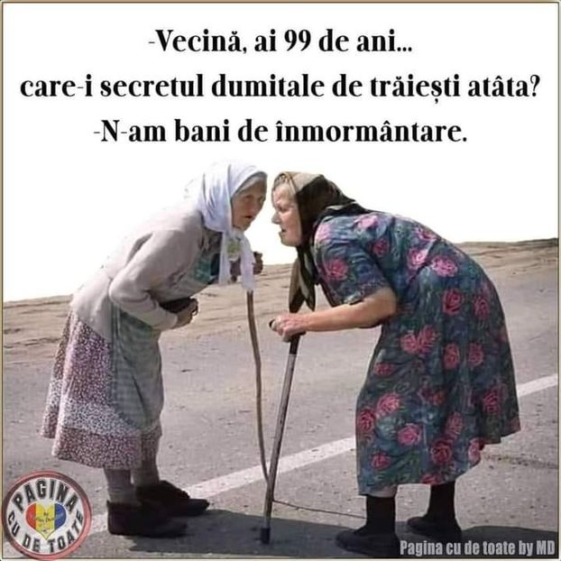  - Divertisment 3