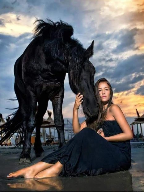  - Cai animale nobile