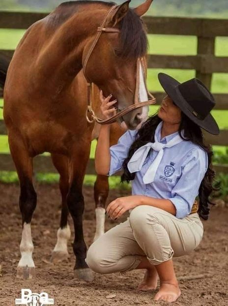  - Cai animale nobile