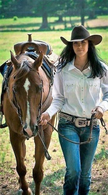  - Cai animale nobile
